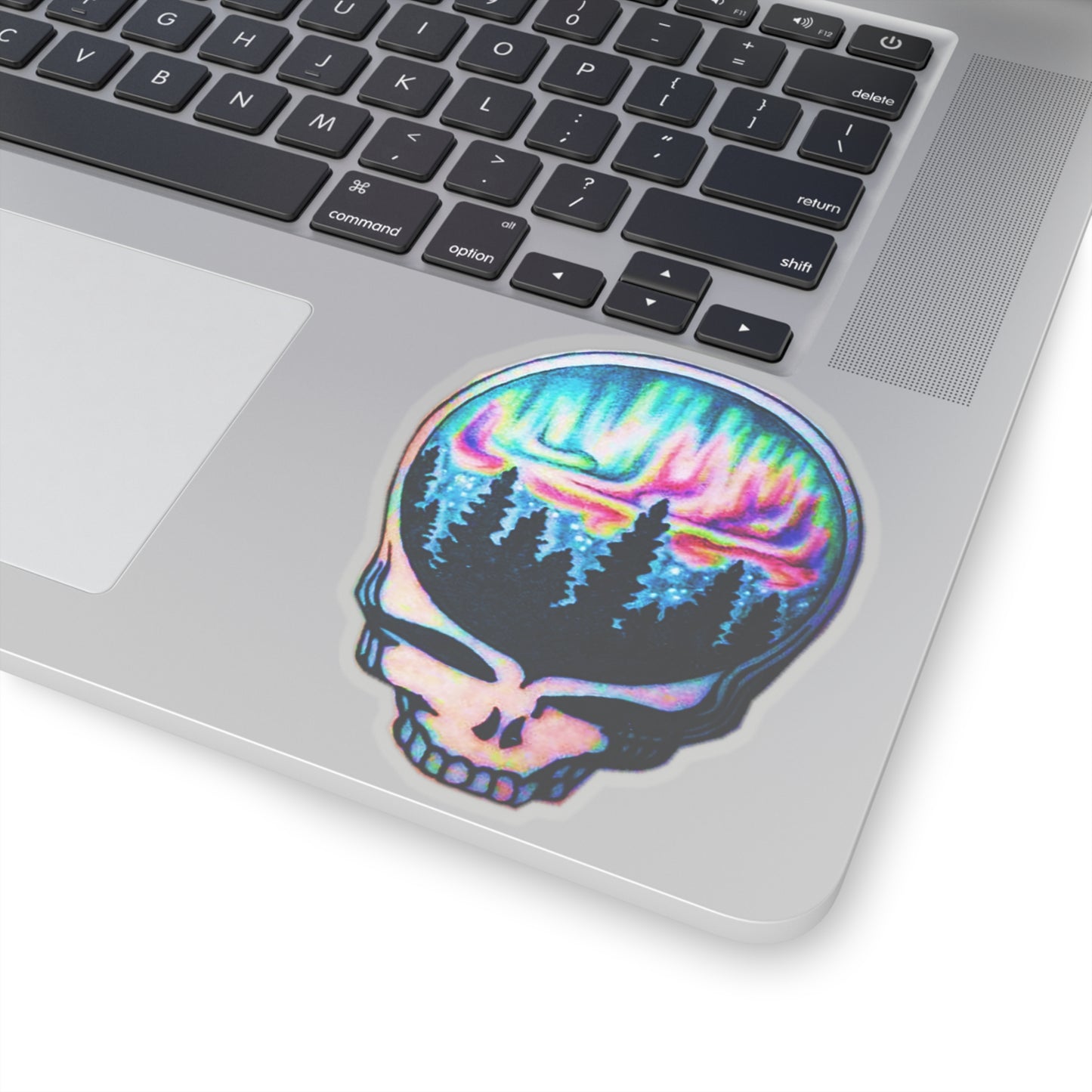 Aurora Borealis Skull Stickers