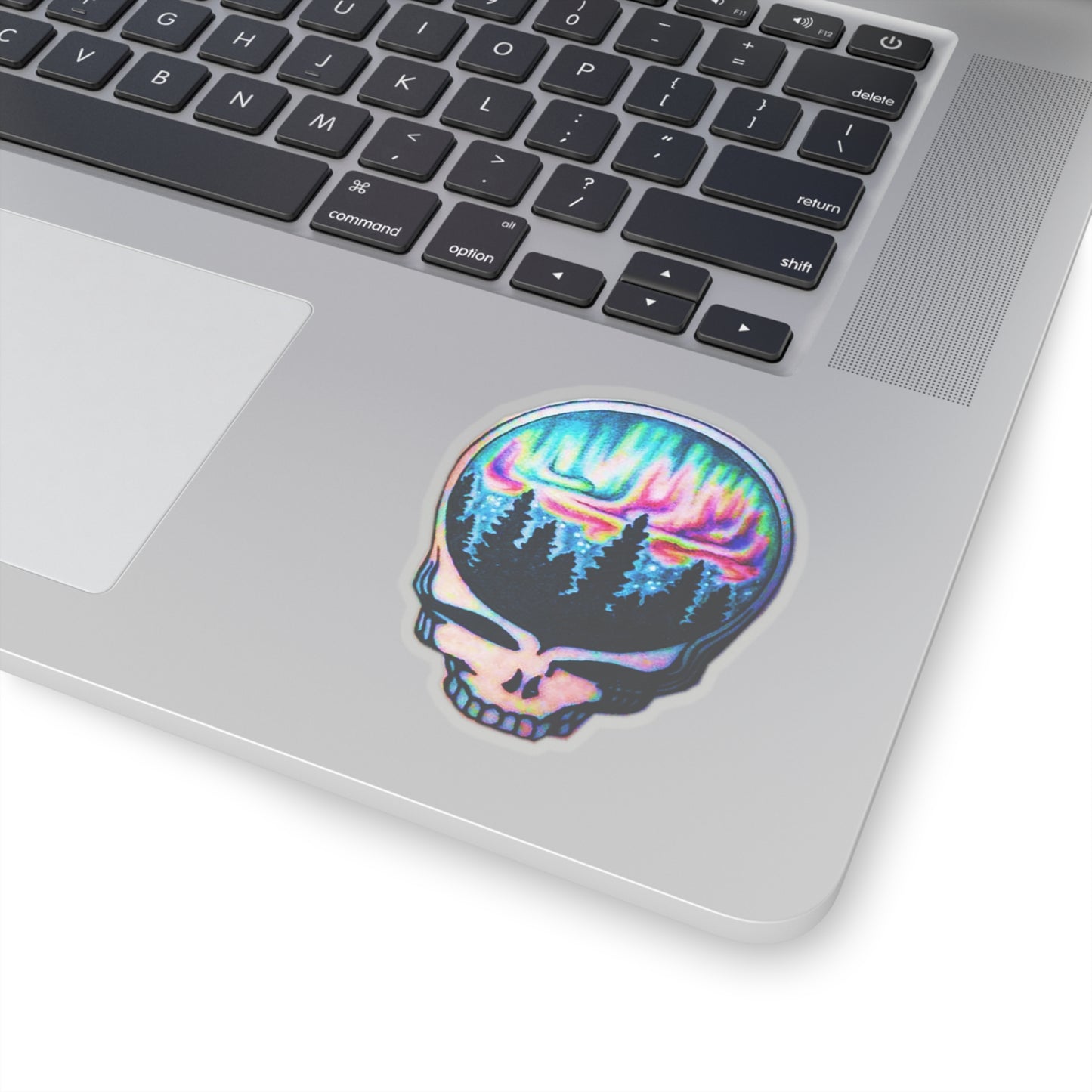 Aurora Borealis Skull Stickers