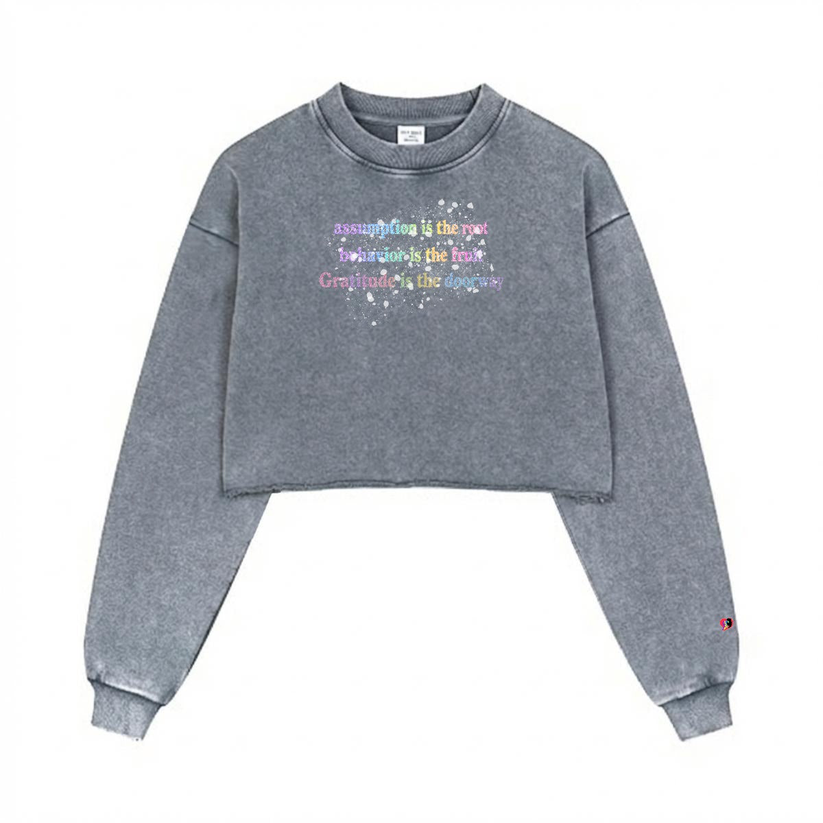 Assumption is the Root Behavior is the Fruit Women’s Cotton Cropped Distressed Sweatshirt