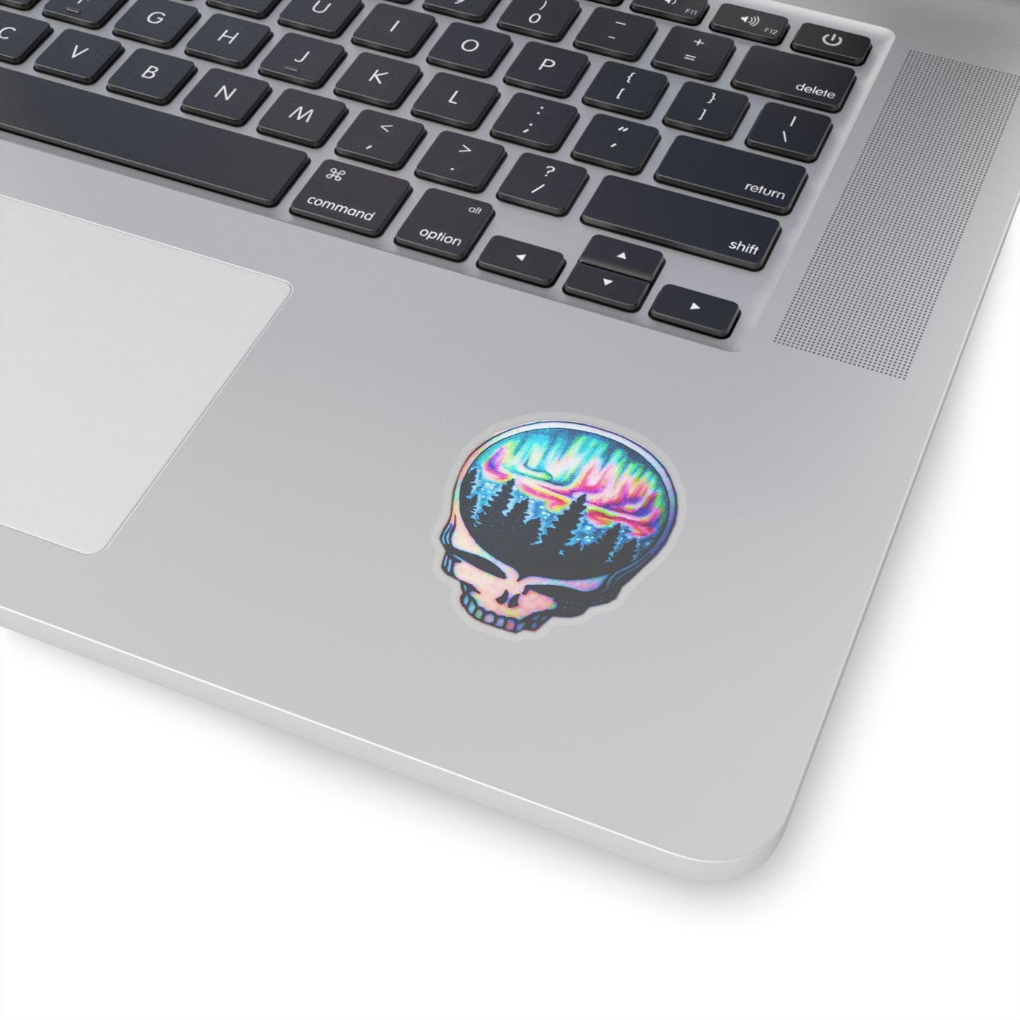 Aurora Borealis Skull Stickers