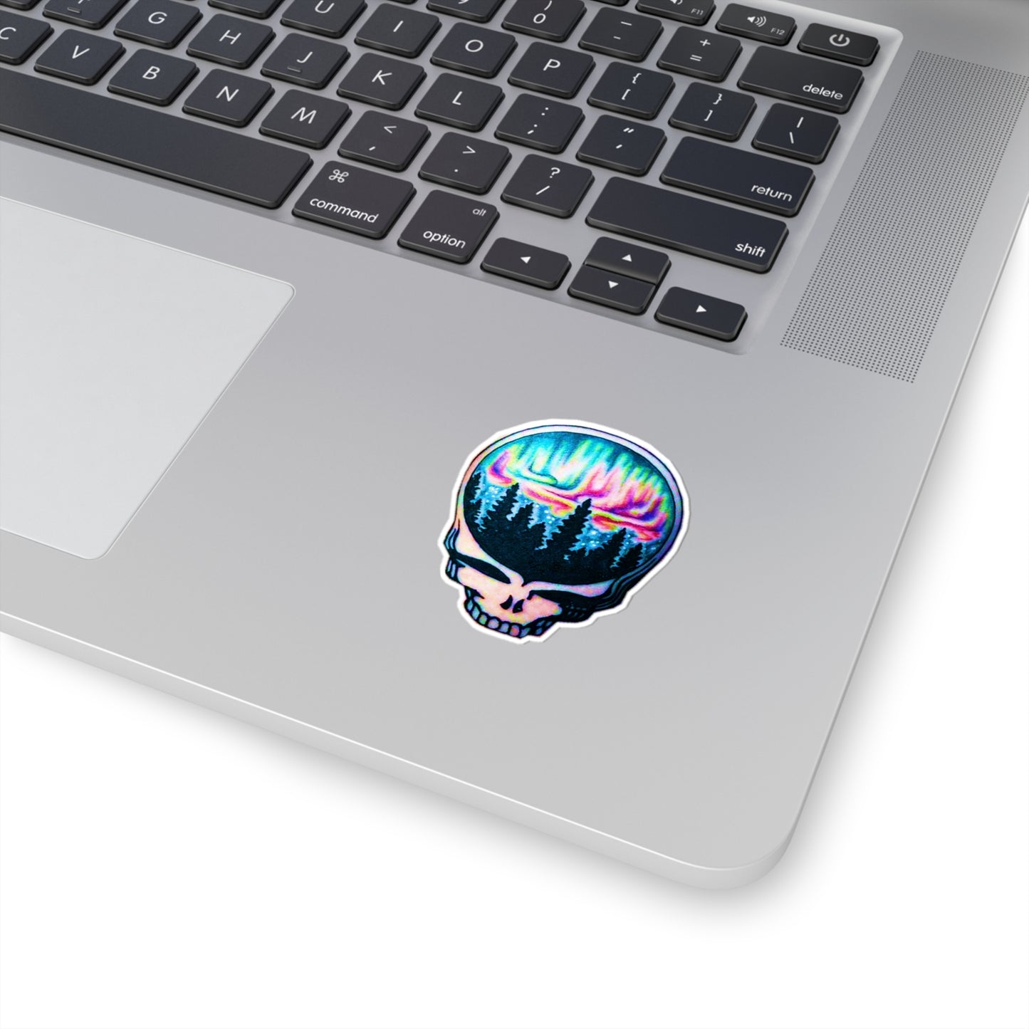 Aurora Borealis Skull Stickers