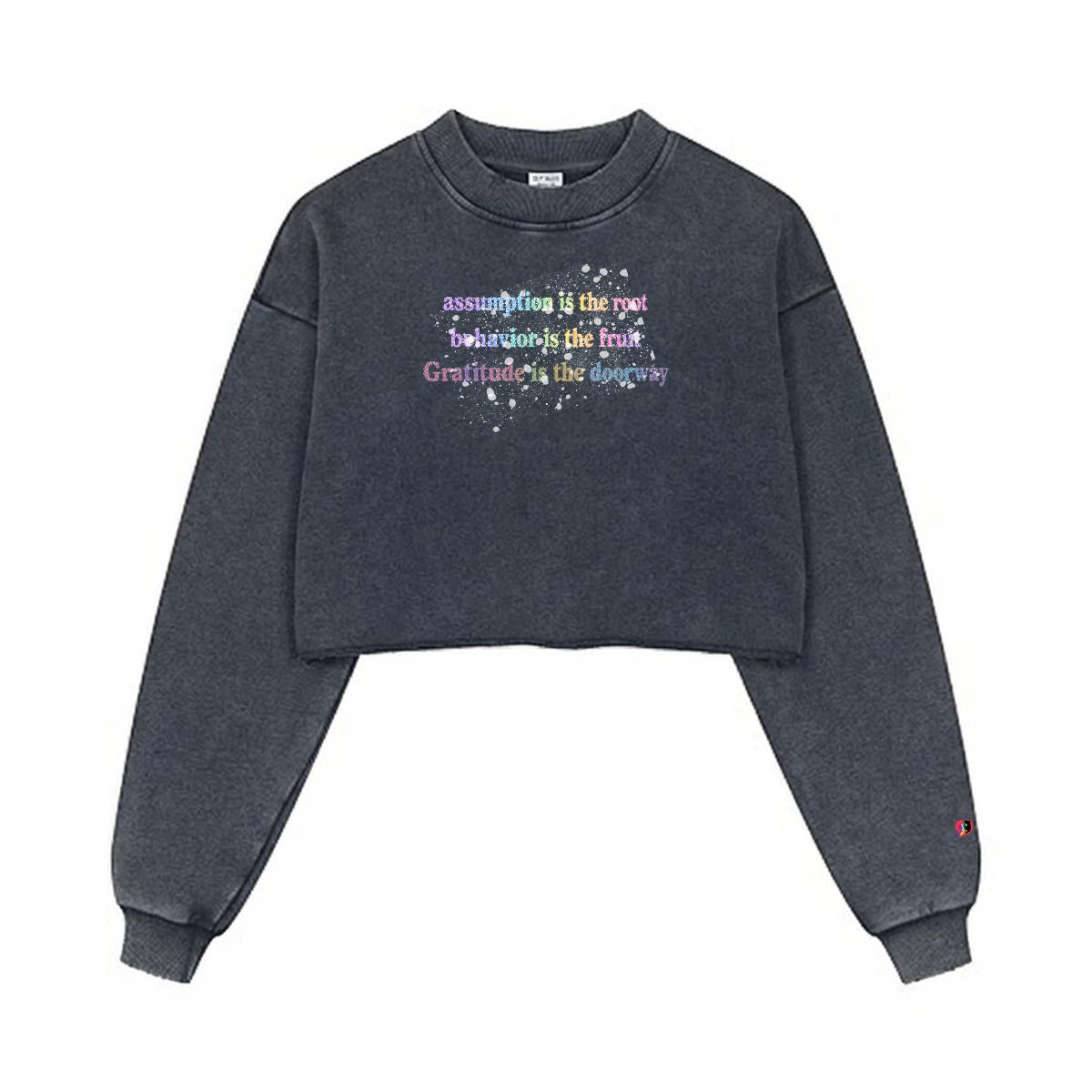 Assumption is the Root Behavior is the Fruit Women’s Cotton Cropped Distressed Sweatshirt
